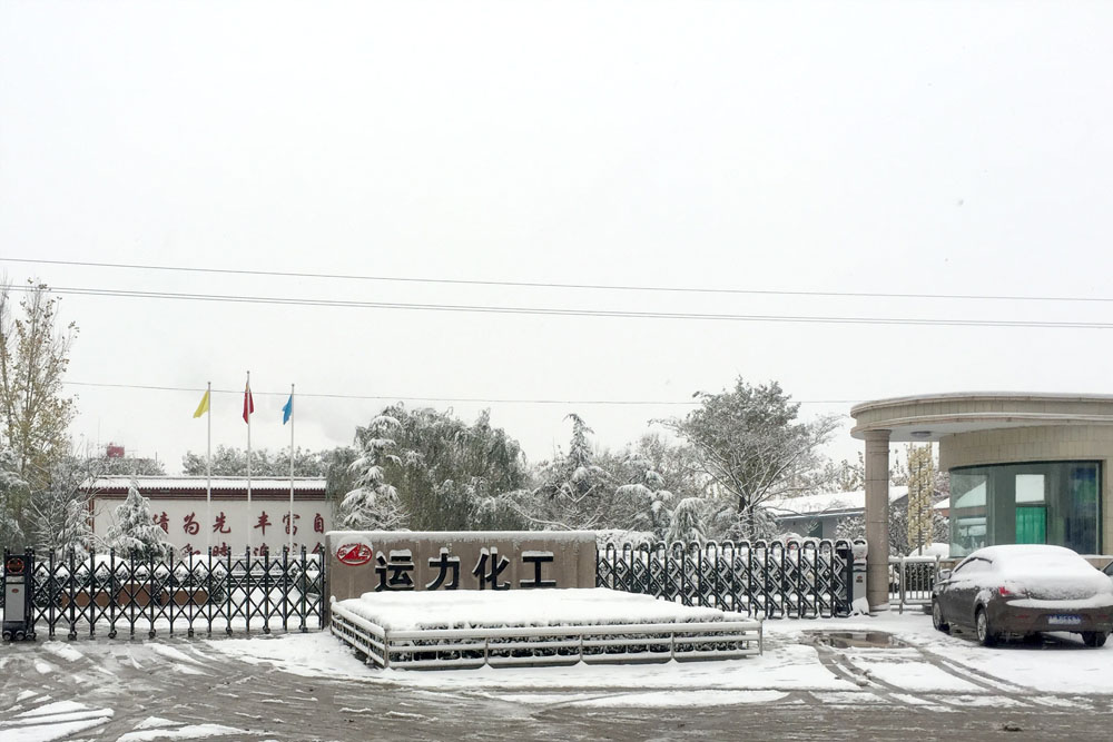 2016年11月23日天降大雪，雪景中的运力